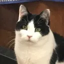 Giajadeen Discord Server Icon