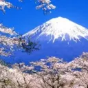第四帝国の小説集合区