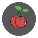 ...:;Corsted:;.... — мониторинг Discord сервера, статистика и рейтинг