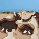 The Burrow