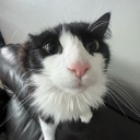 Server: 5 Discord server icon