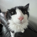 Server: 5 Discord server icon