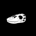 DragonK