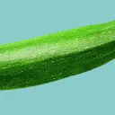 Orto di Zucchina