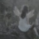 wind ; <3