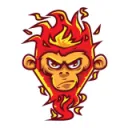 10Days Burn