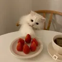 Strawberry Hearts Discord Server Icon