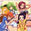 sleepovers  for everyone