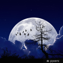 Midnight World