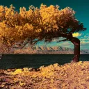 André Wagner | Photo Art