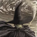 The Wicked Years