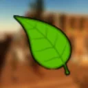 Leafly Supermarket