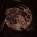 Moonlit Meadows