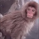 twitter memes 2