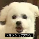 TF server(廃墟)