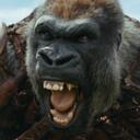 Smelly's kingdom Discord Server Icon