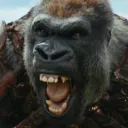 Smelly's kingdom Discord Server Icon