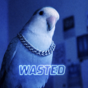 wasted Discord server icon