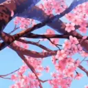 𐙚˙⋆ cherry cottage .˚  Discord Server Icon