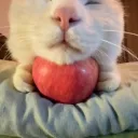 dylanville Discord Server Icon