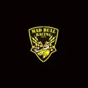Mad Bull Racing 🏆