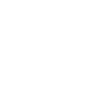 Animus