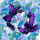 Arvile SMP