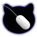 KAMI