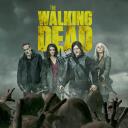 The Walking Dead Haven Discord Server Icon