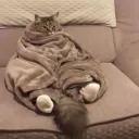 Si tu es seul tu peux venir ici je suis là