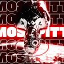 MOSHPITT (MoopyPLNT)