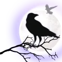 The Raven's Nest