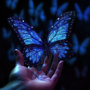 Butterfly Haven !! <𝟑