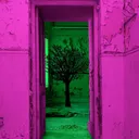 🌸Green's Closet🌸
