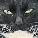 lucase695847 discord