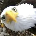 Furico Discord Server Icon