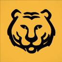 Protagnst | Minecraft Events icon