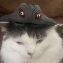 Piopdoof Public Discord Server Icon