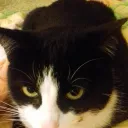 L'Antre de Pirouette