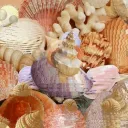 Shady Discord Server Icon