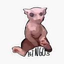 Bingus Inc