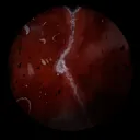 Khione D IV official discord server
