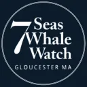 7 Seas Whale Watching
