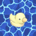The Pond