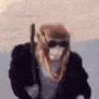 The Monke Kingdom