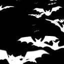 ৎ୭ — peacchi Discord Server Icon