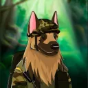 Doge Cloud Army {50%}