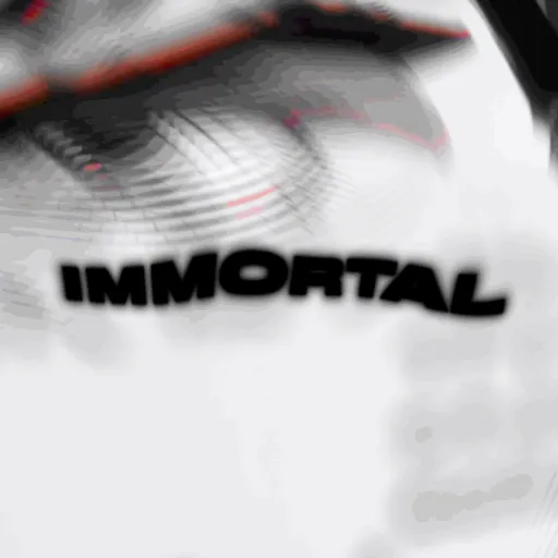 Immortal — мониторинг Discord сервера, статистика и рейтинг