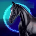 𝐃𝐢𝐠𝐢𝐭𝐚𝐥 𝐏𝐡𝐚𝐧𝐭𝐨𝐦