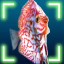 Snapshot Aquarium